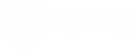 Xplore SEO - White